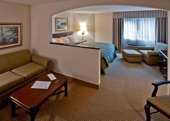 Ann Arbor Regent Hotel And Suites Rum bild
